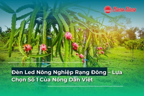 Đèn Led Nông Nghiệp Rạng Đông – Lựa Chọn Số 1 Của Nông Dân Việt